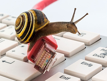 Clavier_Escargot