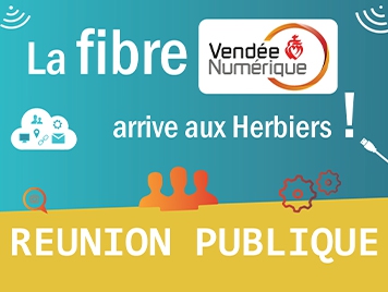 Reunion publique