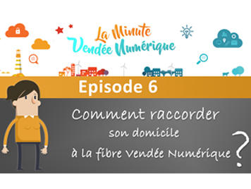 MVN6